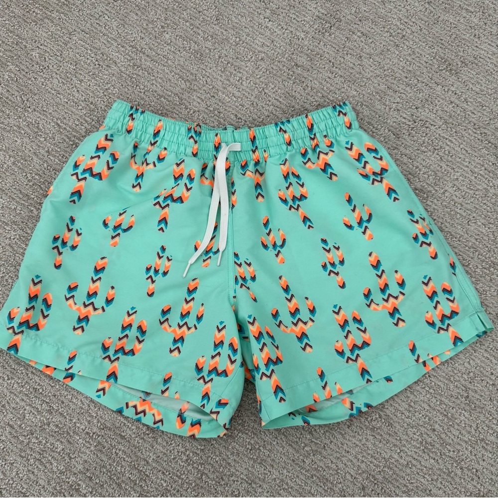 Chubbies Trunks Swim Shorts Mens Medium Lined Cactus Mint Green 5" Inseam